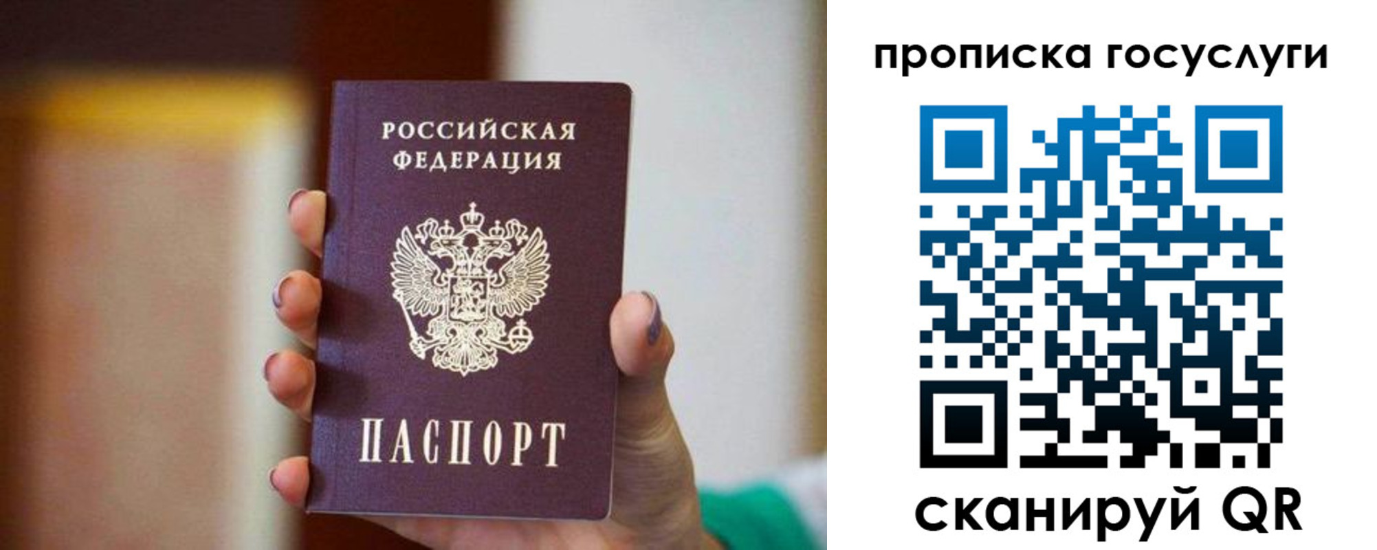 миграционный учет в Сертолово